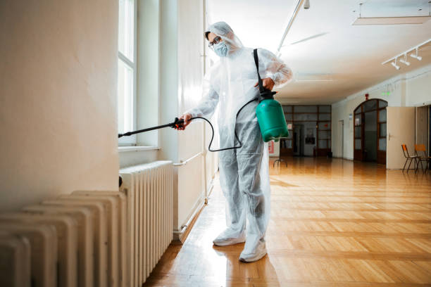 Emergency Pest Control in Mount Zion, IL